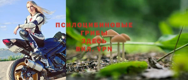 метадон Елизово