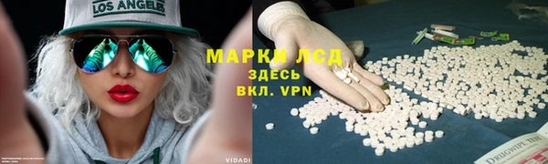 кокс Ельня